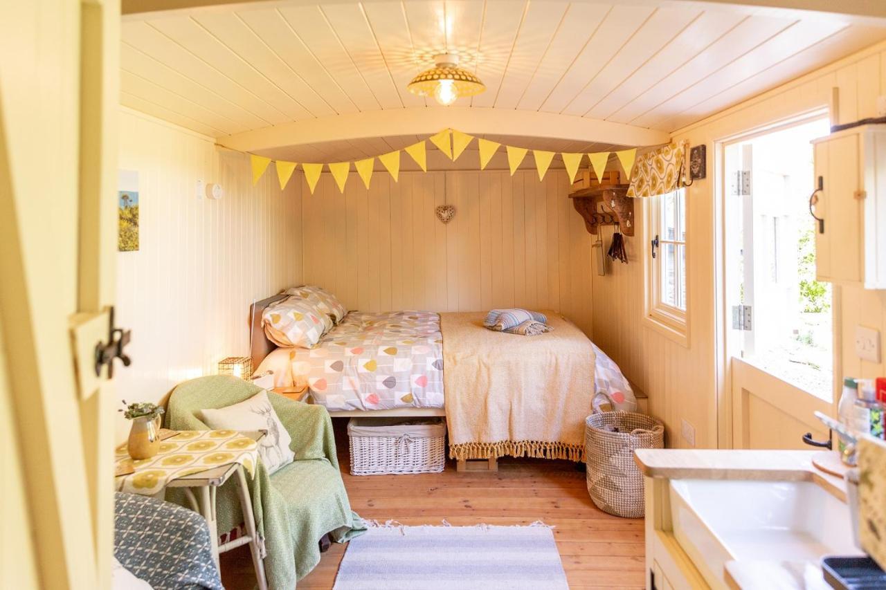 Bed and Breakfast Brookfields Wadebridge Zewnętrze zdjęcie